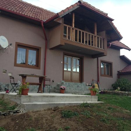 Casa Darius Villa Novaci-Straini Exterior photo